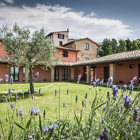 Appartamenti Poggio Fiorito Assisi Buitenkant foto